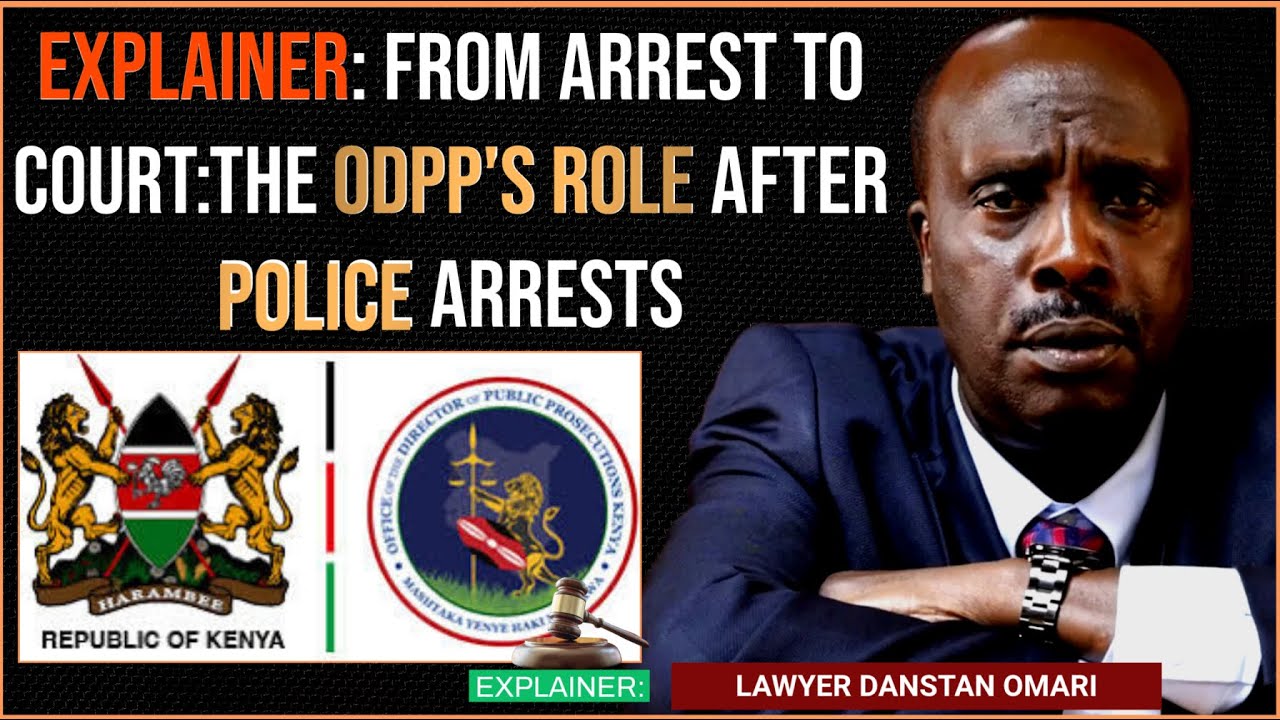 Explainer on the Role and Powers of the DPP in Criminal Prosecutions