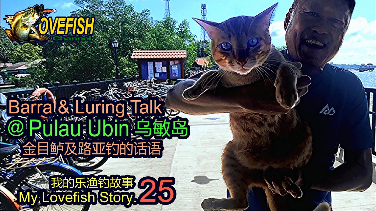 Overnight Barra Fishing Camping @ Pulau Ubin - My Lovefish Story.25 过夜钓金目鲈露营@乌敏岛 - 我的乐渔钓故事.25