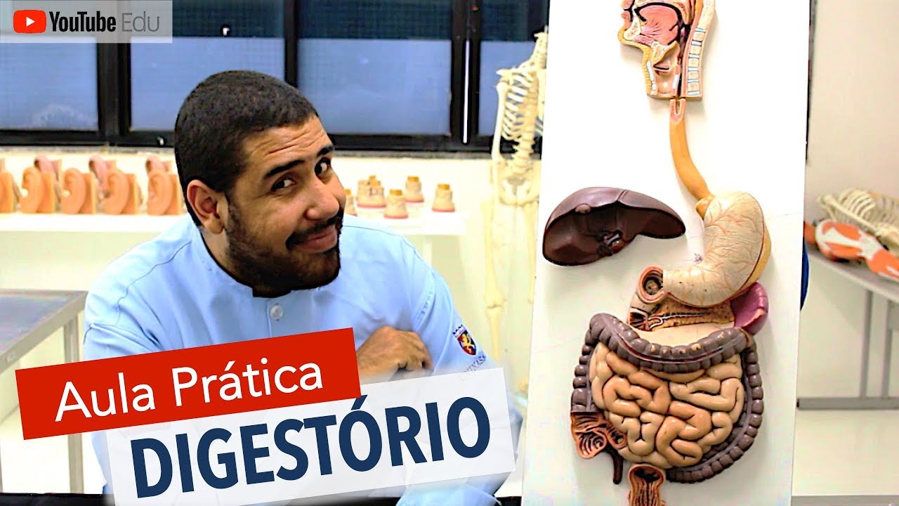 Sistema Digestório 5/5: Aula prática com Wedson Vilanova | Anatomia etc