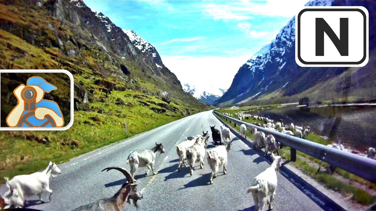Norge. E39, 5. [ Byrkjelo - Sogndal ]