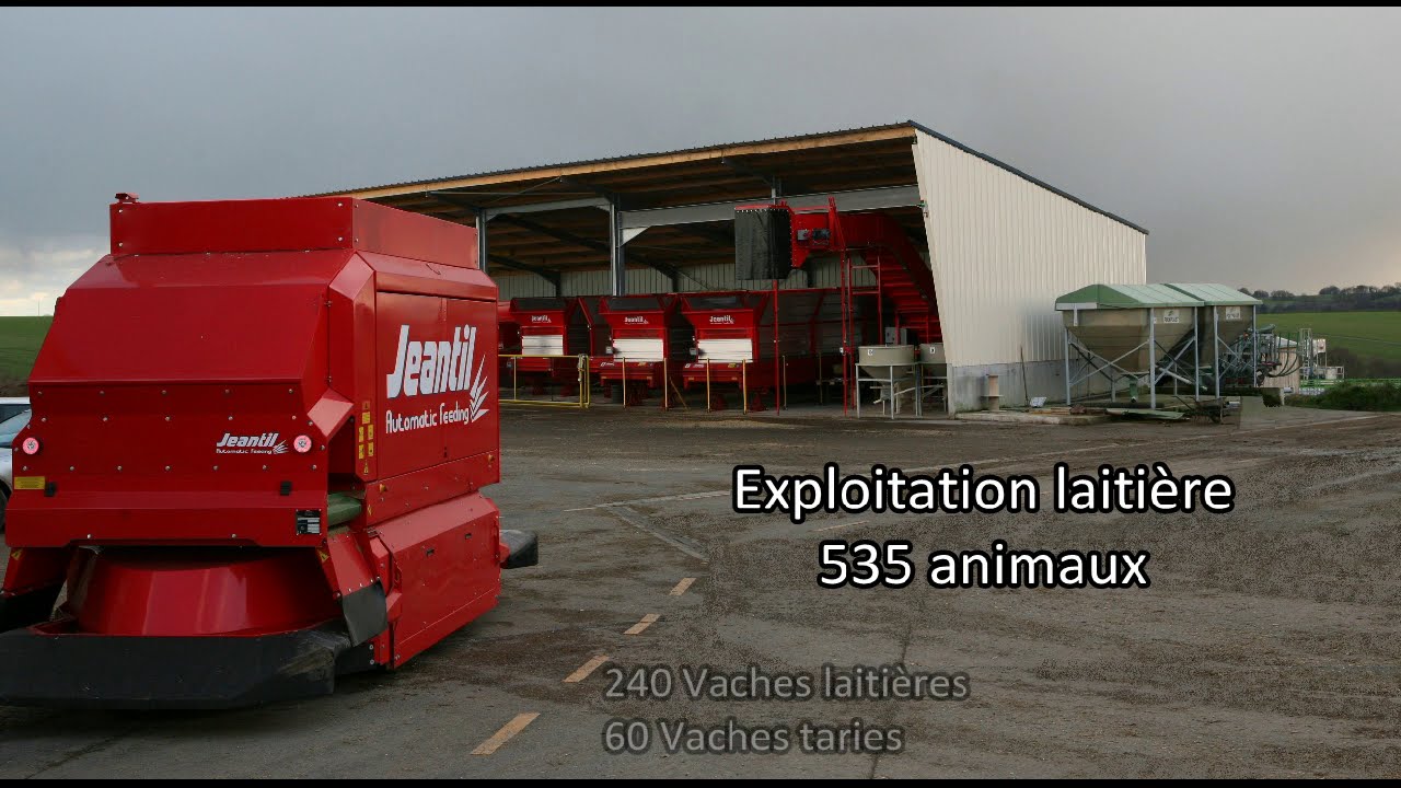 Le robot d'alimentation Jeantil pour 240 vaches laiti&egrave;res! - JEANTIL AUTOMATIC FEEDING