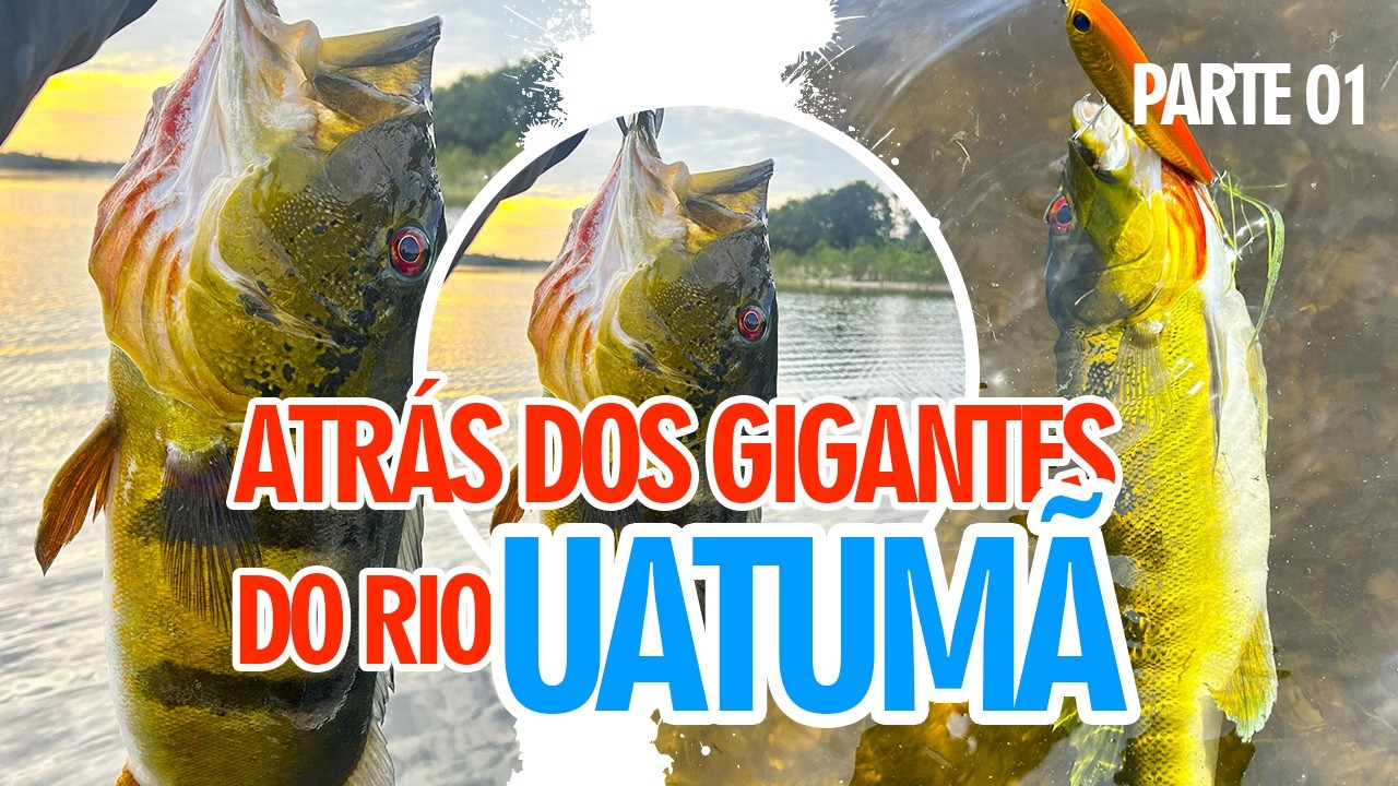 UM DOS RIOS MAIS FAMOSOS DO BAIXO AMAZONAS | RIO UATUMÃ