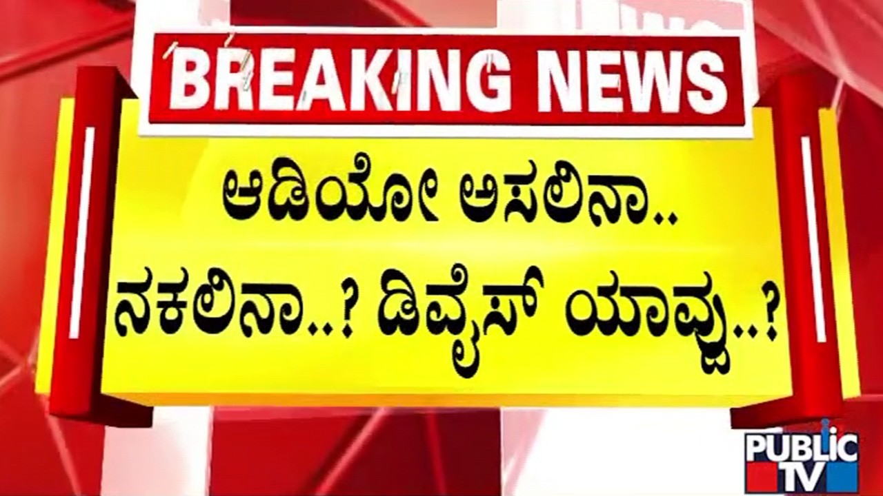 ವೈರಲ್‌ ಆಡಿಯೋದ ಪೂರ್ತಿ ಸಂಭಾಷಣೆ ಬಗ್ಗೆ ವಿಚಾರಣೆ  | Snehamayi Krishna | Public Tv