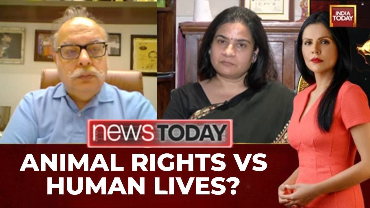 Delhi's Dog Debate: Public Health Crisis Or Ecological Disaster After SC Order? | India Today Debate