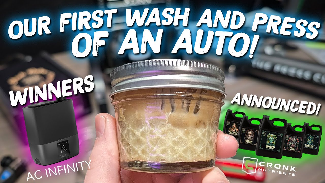 Auto Press Results, Live In The Tents & Winners!