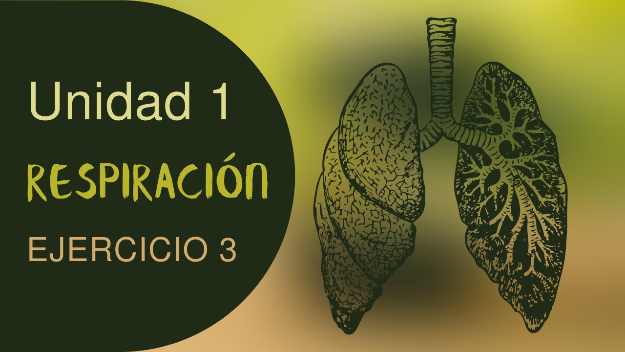 Respiración - Unidad 1 Ejercicio 3