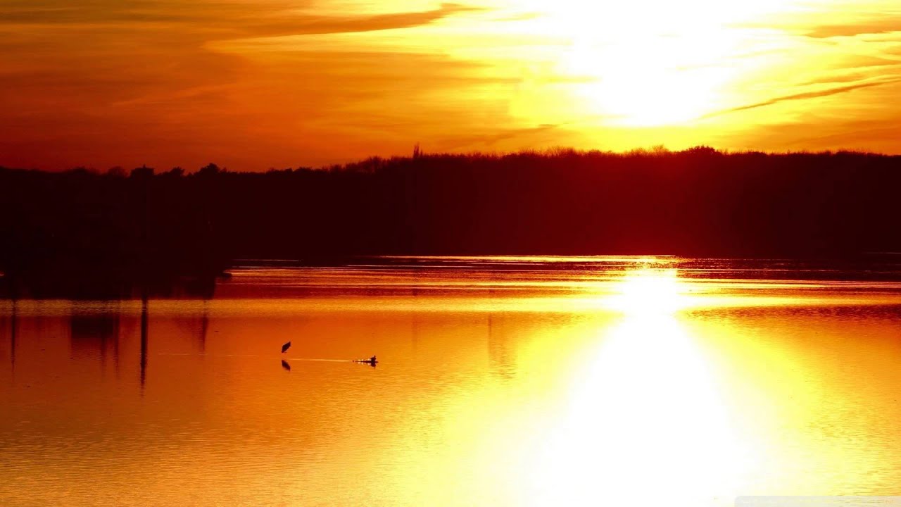 Sacha Collisson - Sky of Gold