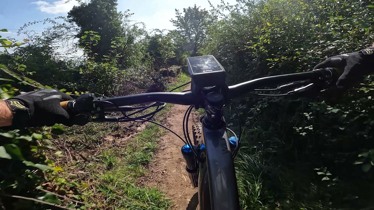 Les Monts-d'Or - DH Entre les arbres
