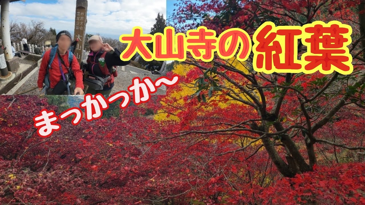 紅葉の大山寺（ヤビツ峠から大山、大山寺へ）