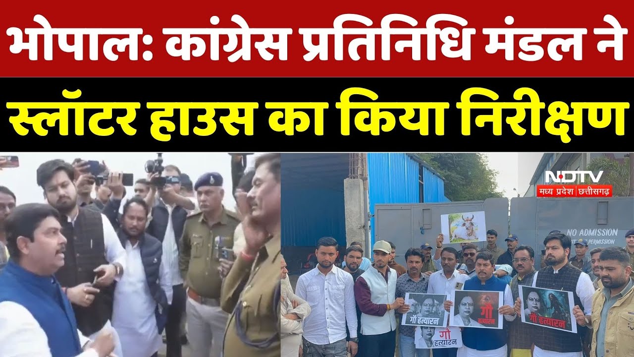 Bhopal Slaughter House Case: स्लॉटर हाउस पर सियासी घमासान, Congress ने निरीक्षण कर लगाए गंभीर आरोप