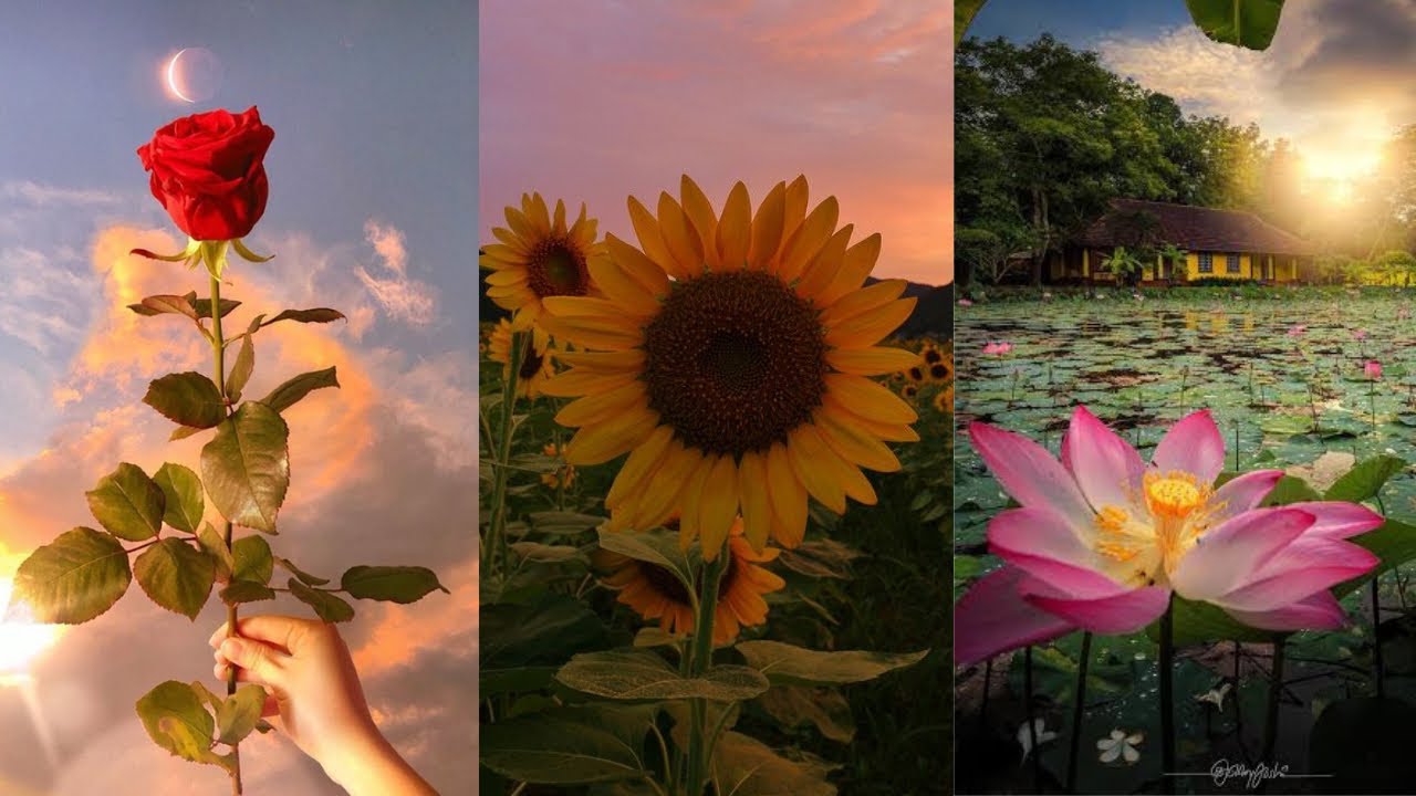 ♥️💌What Are They Feeling About You Right Now? | Pick a Pile Tarot🎈🥰😻