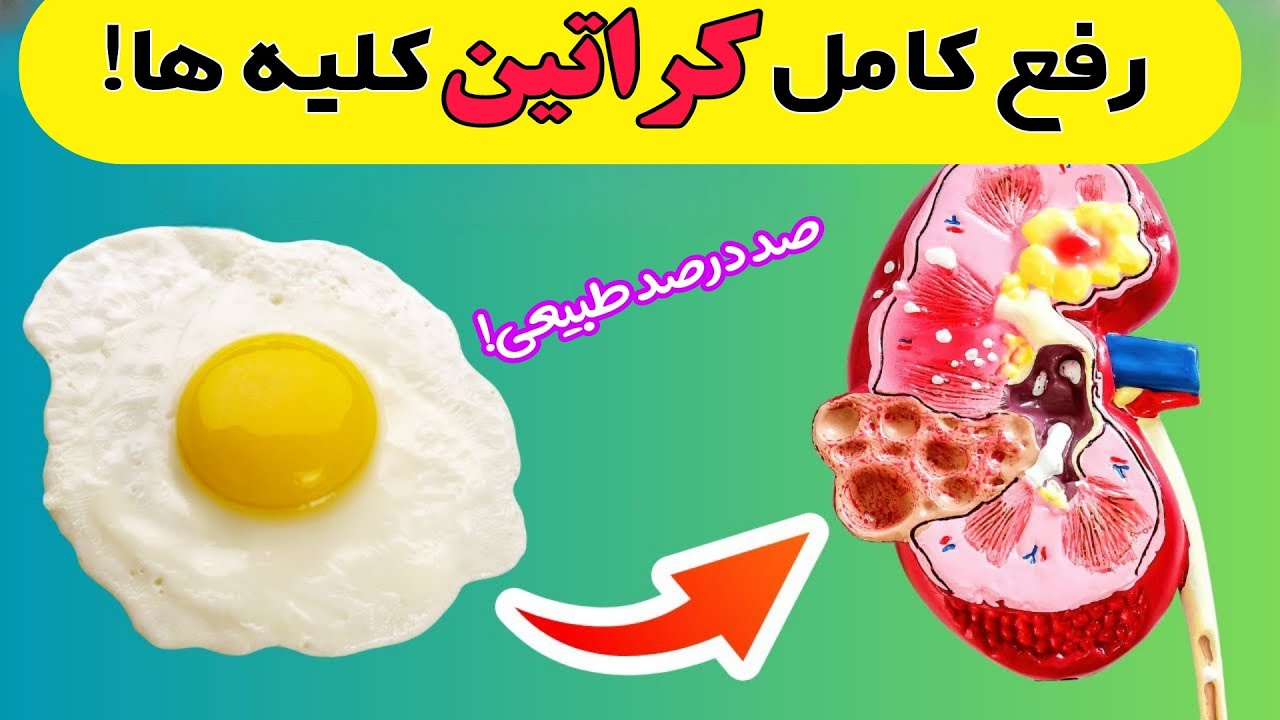 با این موادغذایی کراتین کلیه هایتان را کاهش دهید_کاهش کراتینین خون