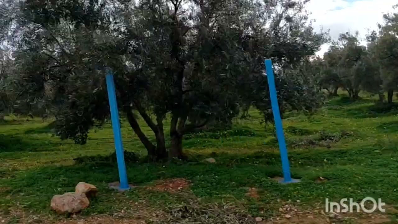 🚨🏃‍♀️جريو جريو تعرفو حقيقة ممول عيد ميلاد ابن زيزو 😱 كولشي معروض والصدمة كبيرة 