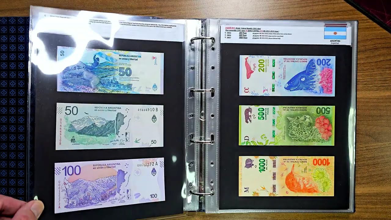 Banknotes of Argentina (2025 January)