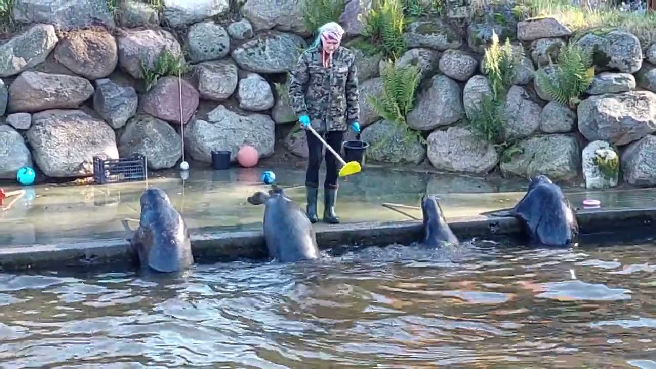 Dolina Charlotty Fokarium