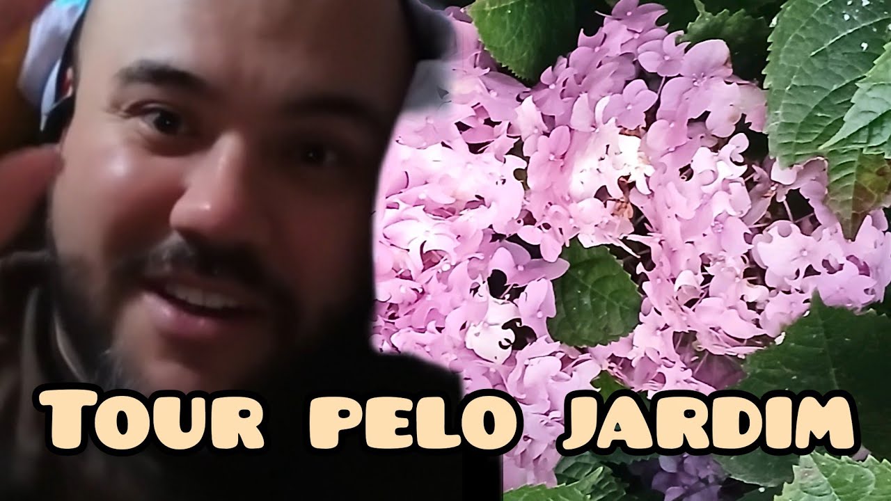 Tour pelo jardim ,plantas e flores bonitas 