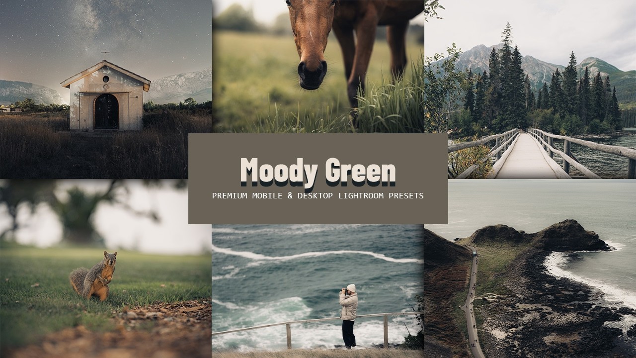 Пресеты Lightroom Moody Green | Бесплатный урок и загрузка