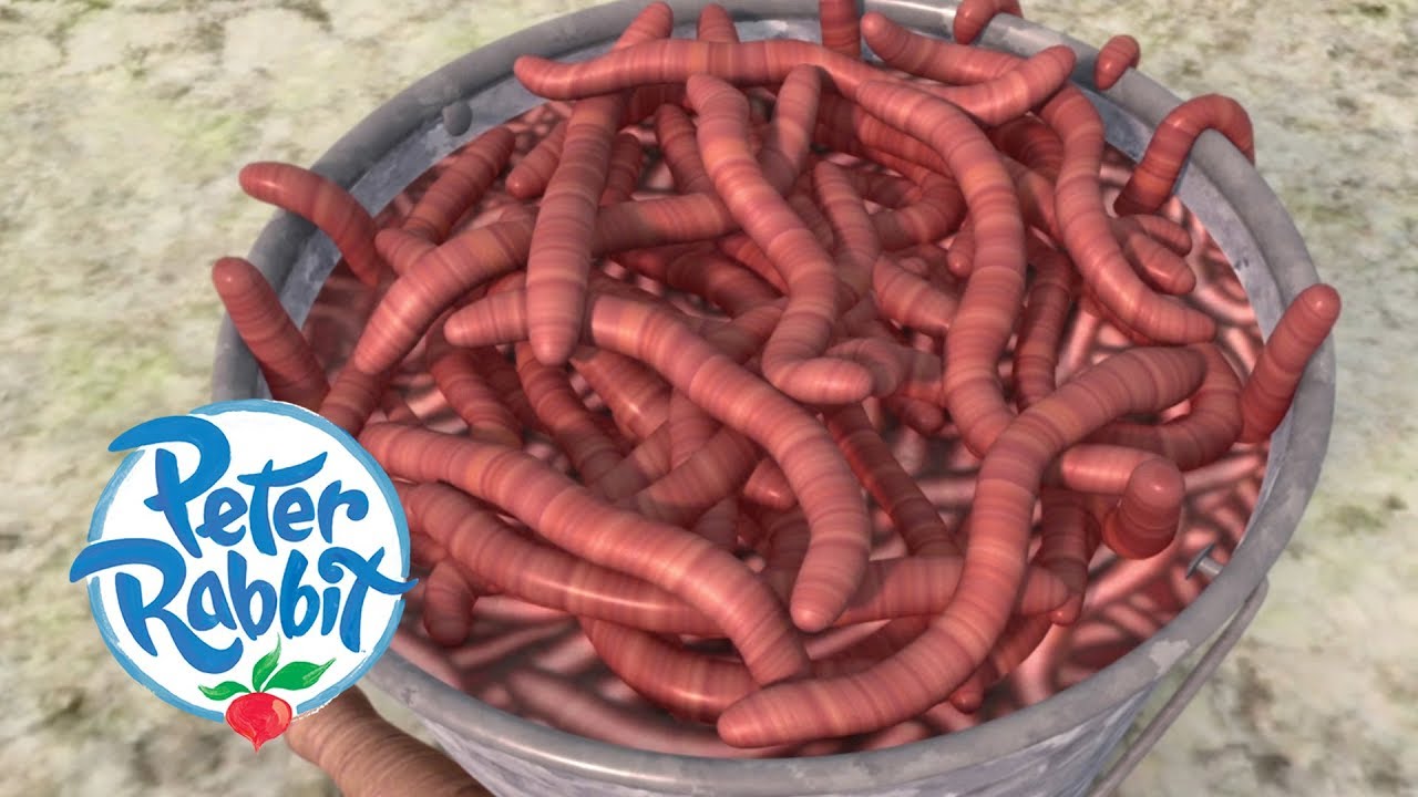 Peter Rabbit - Worm Your Way Out of This! | Cartoons for Kids