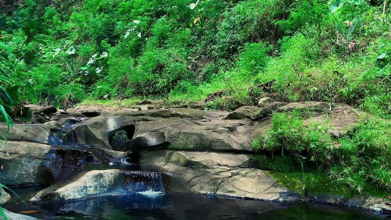 Tranquil River Ambiance - Relax, Sleep, Meditate or Focus Background Sound
