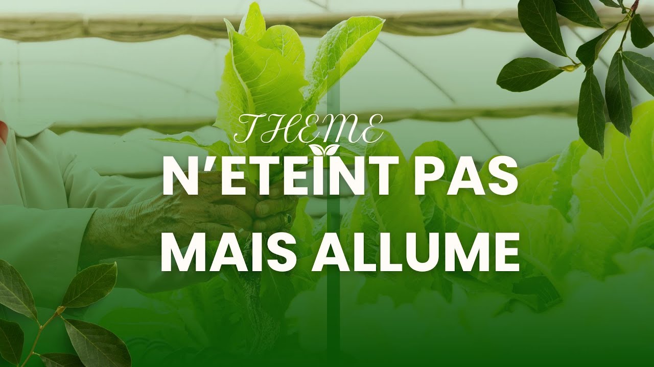 N'ETEINS PAS MAIS ALLUME/ PAST FLORY NATHAN VUETTE