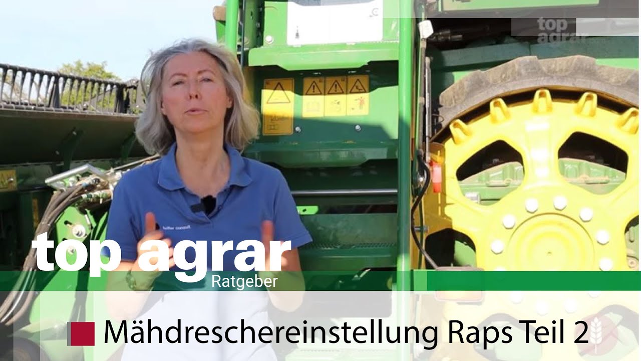 Tipps zur Mähdreschereinstellung in Raps inkl. Verlustminimierung +++ feiffer Consult +++