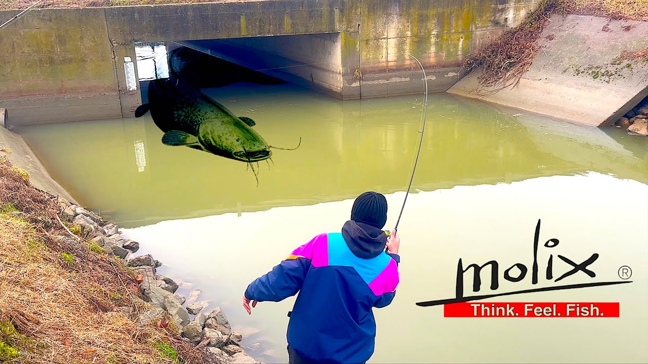 BIG FISH UNDER THE BRIDGE! Urban Fishing in Italy with Molix Lures [Fishing VLOG]
