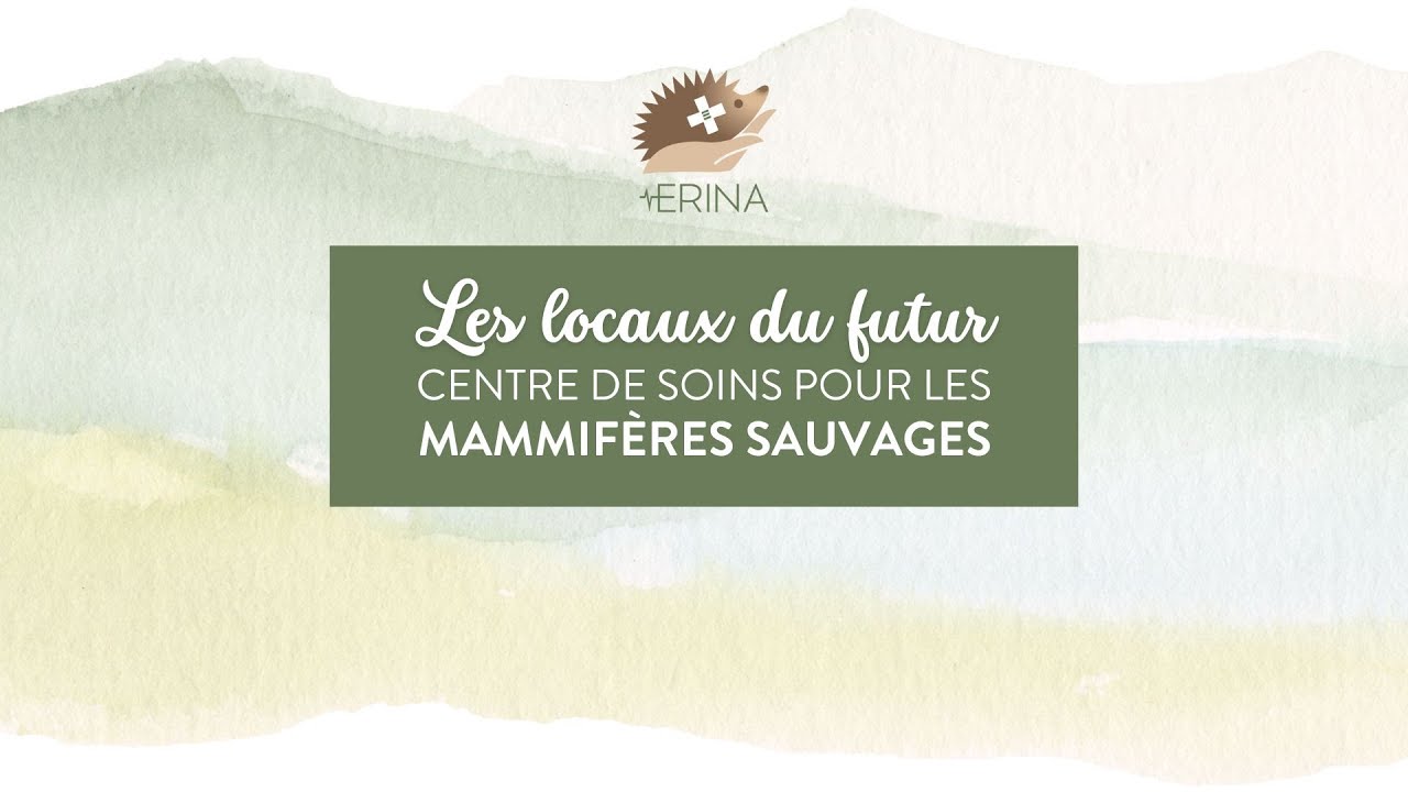 Les locaux du futur centre de soin pour les mammifères sauvages en Haute-Vienne (87)