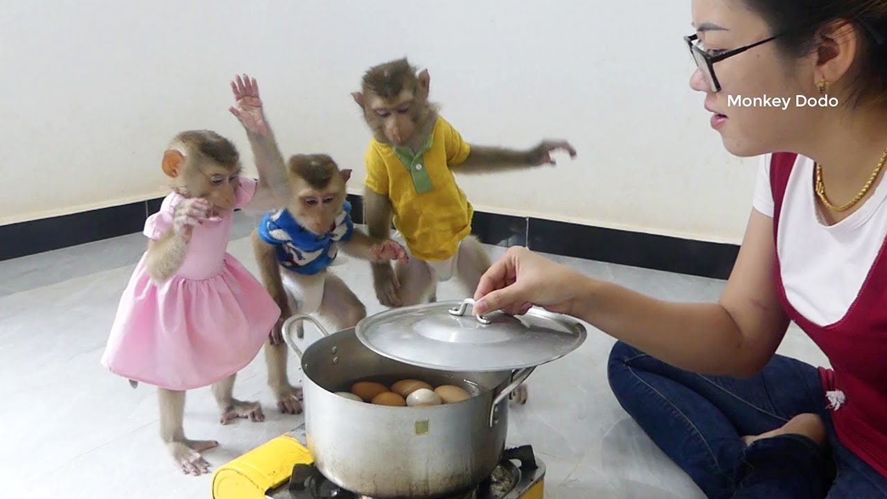 Amazing 3 Cuties Want To Eat Boiled Eggs & Cannot Wait Mom Prepare For
