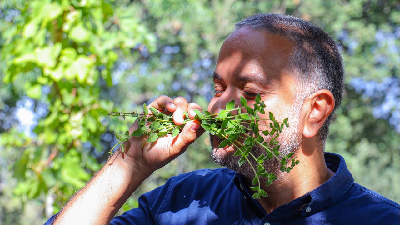Beautiful AKKAR: The Land, The Farmers, The Food, The Great Experience