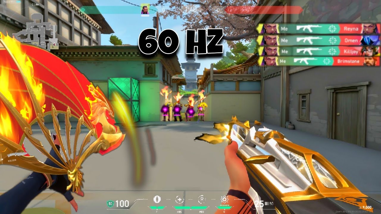 60Hz Immortal Player Dropped 86 Kills with 360Hz.