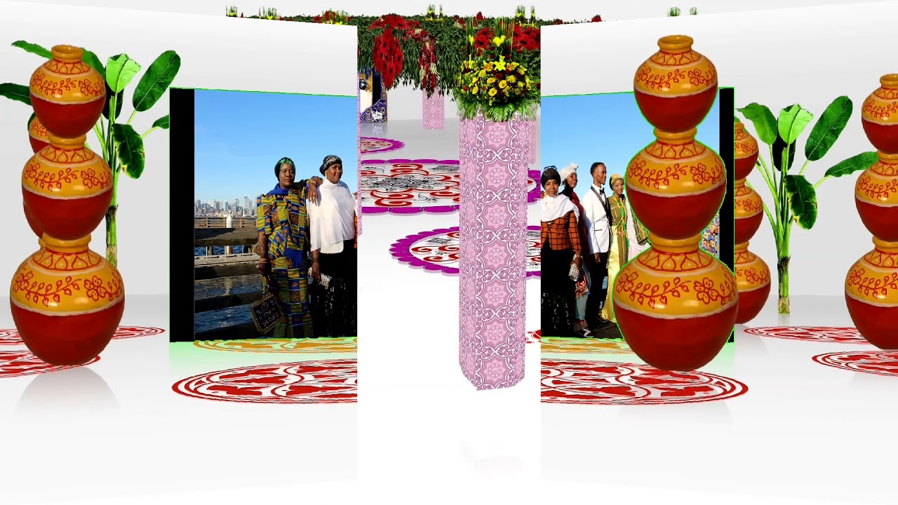 abdi studio /Murjan. And hawa wedding part 2