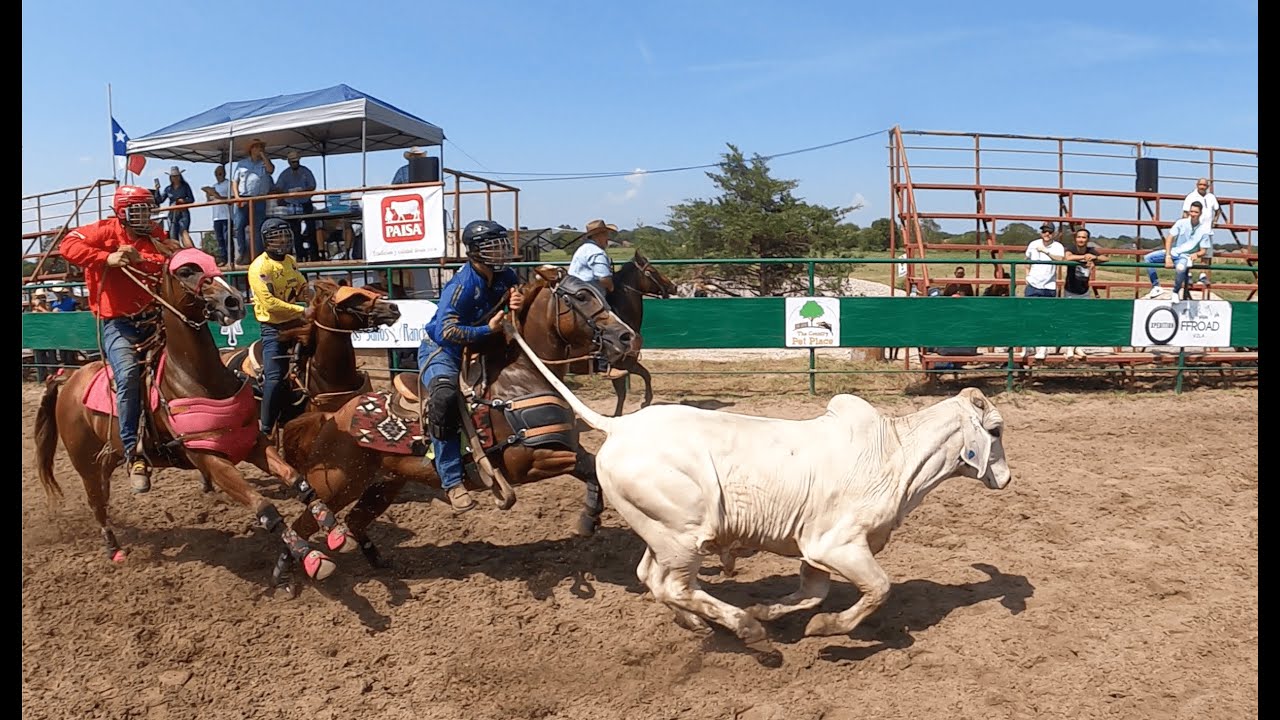 Dia de Toros coleados en Dallas Texas Eps 1-2. coleos y entrevistas, . 🔥Panas Adventures.🐴