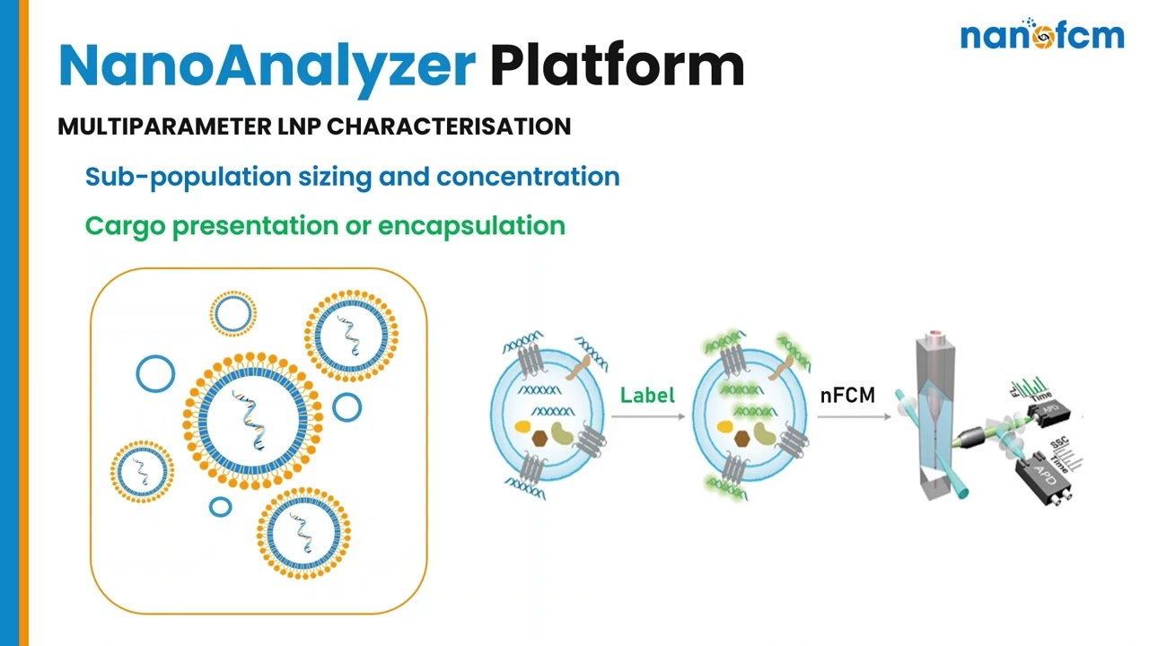 Assessment of LNP concentration, size, encapsulation efficiency and more using NanoFCM - Webinar