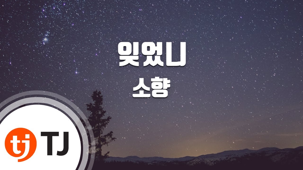 [TJ노래방 / 멜로디제거] 잊었니 - 소향 / TJ Karaoke
