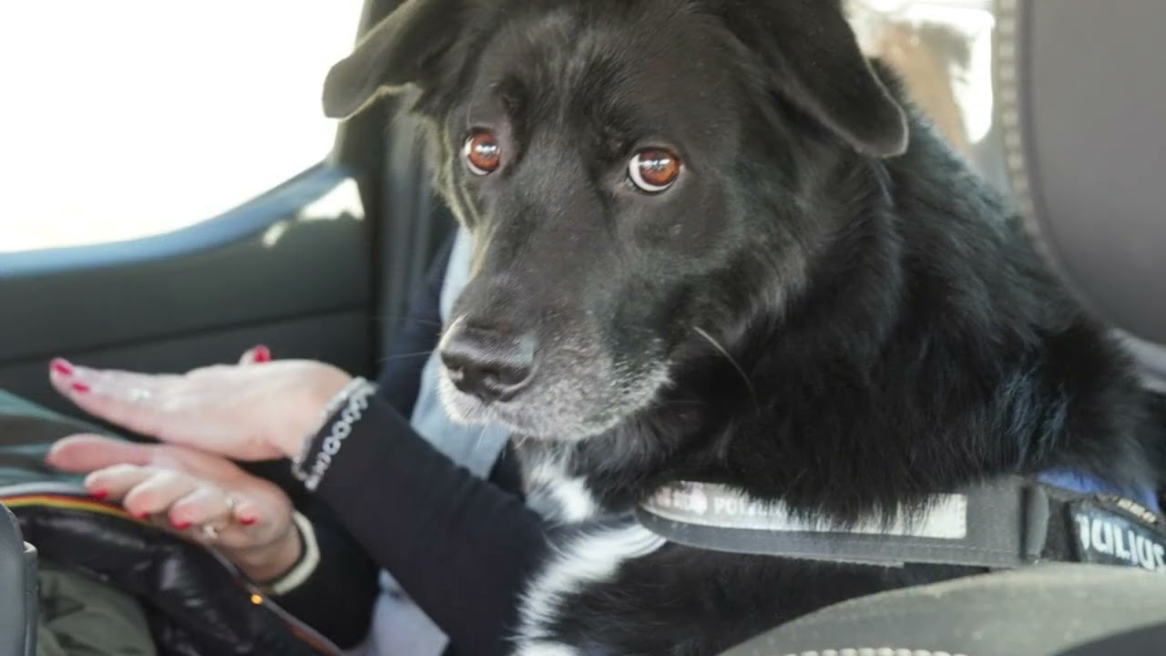 Monastero Bormida – Roccaverano 2025