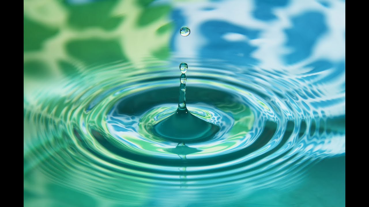 El agua como principal alimento