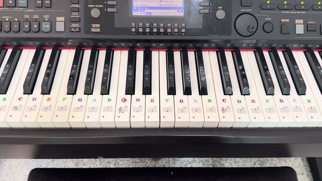 Joy to the world! Yamaha Clavinova CVP-301