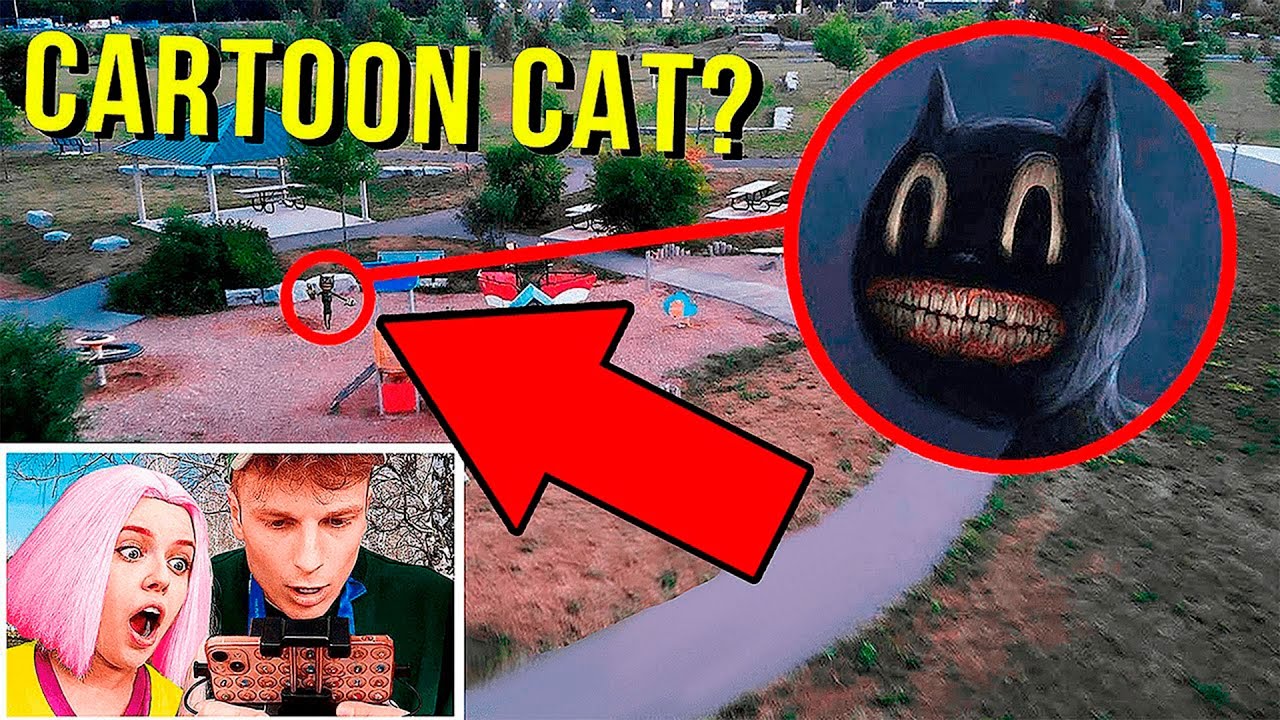 DRONE CATTURA CARTOON CAT NELLA VITA REALE !