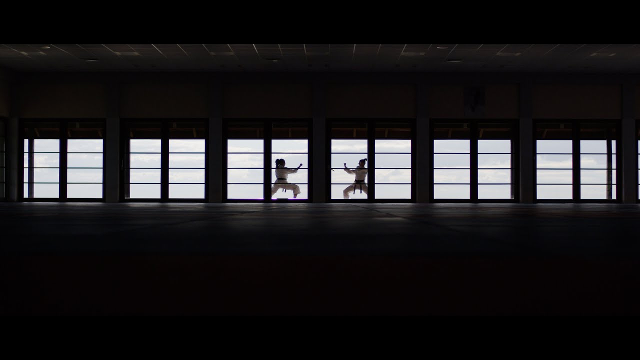 This is Dojo Stara Wieś