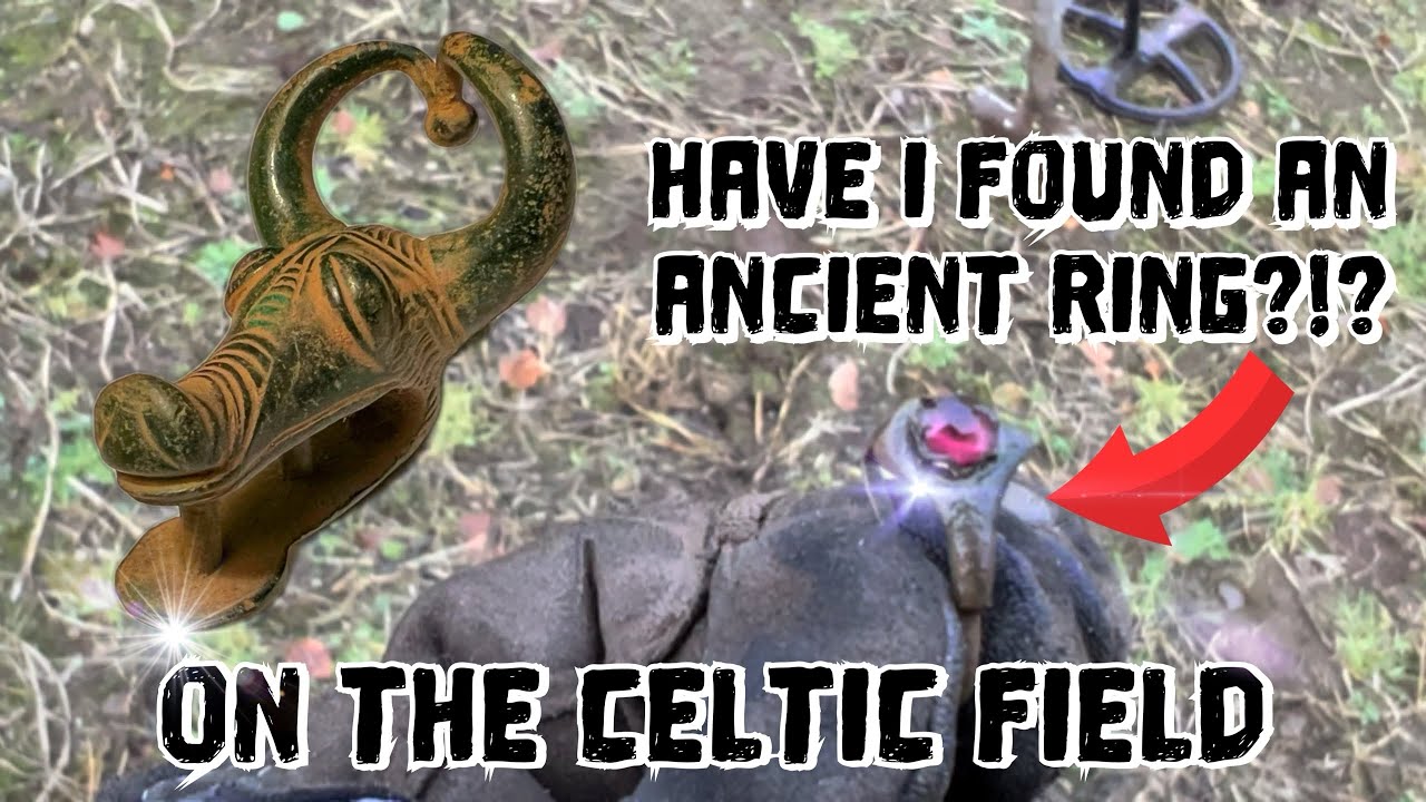 Back on the Celtic - Iron Age settlement with the XP DEUS II and Garrett AT Pro