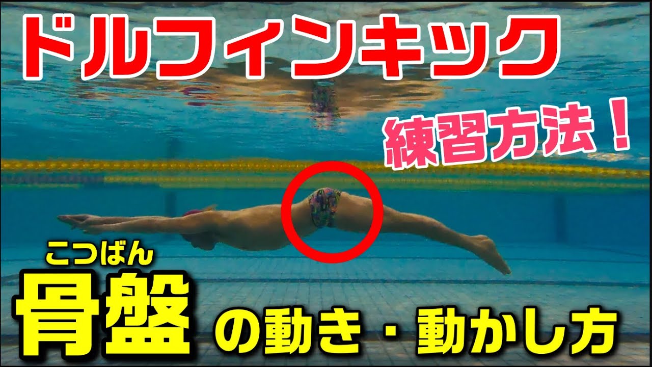 【ドルフィンキック】骨盤の動き・動かし方と練習方法！