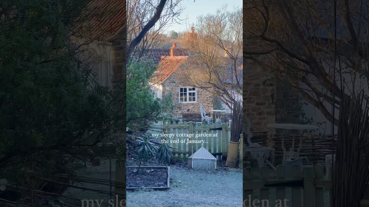 My cottage garden coming to life after winter 🐝🌱💕