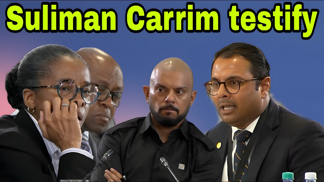 Madlanga Commission of Inquiry. Suliman Carrim Testifies.