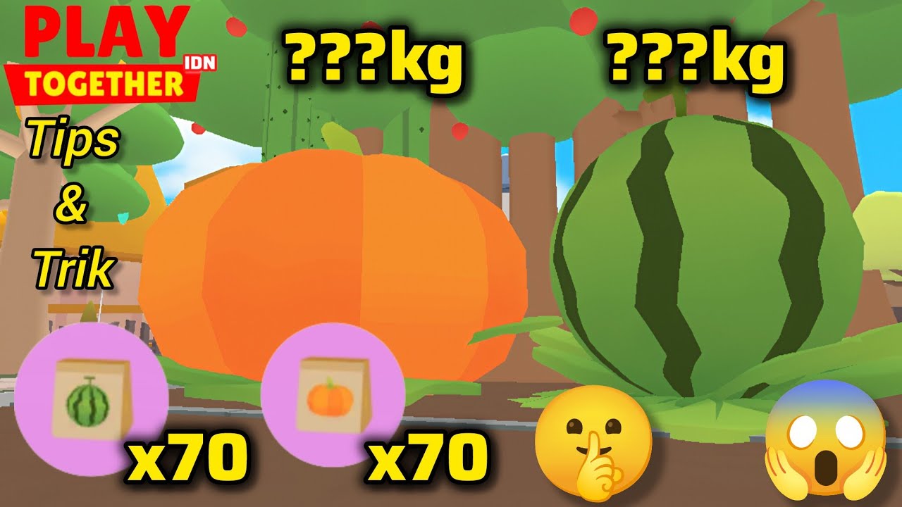 WAJIB COBA 100% WORK 👍🏻 Experiment DAPAT GIGA BUAH LABU & SEMANGKA | Play Together Game 