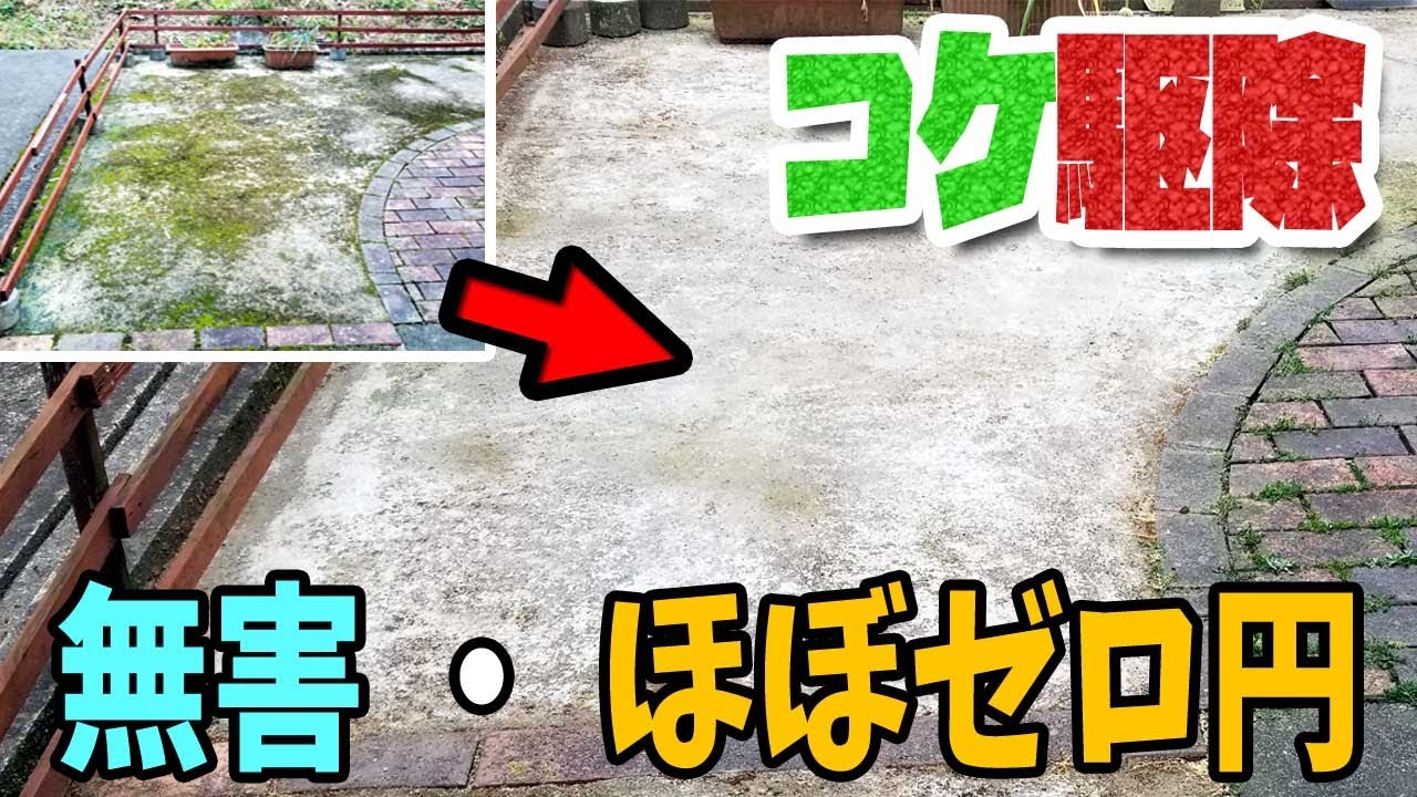 【コケ駆除】完全無害、ほぼゼロ円で庭に繁殖する苔を駆除する。雑草にも効果あります。ただ撒くだけ。（Moss extermination）