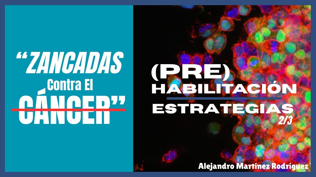 PREHABILITACIÓN contra el CÁNCER - Herramientas Prácticas