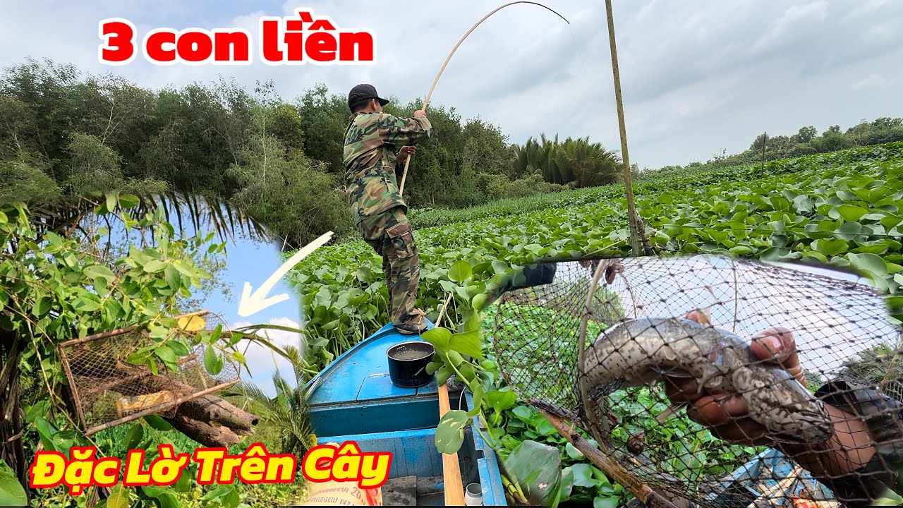 Thăm Lờ Câu Cá Điểm Đầu Tiên Dính Liên Tiếp Ba Con / Định Nguyễn Hậu Giang