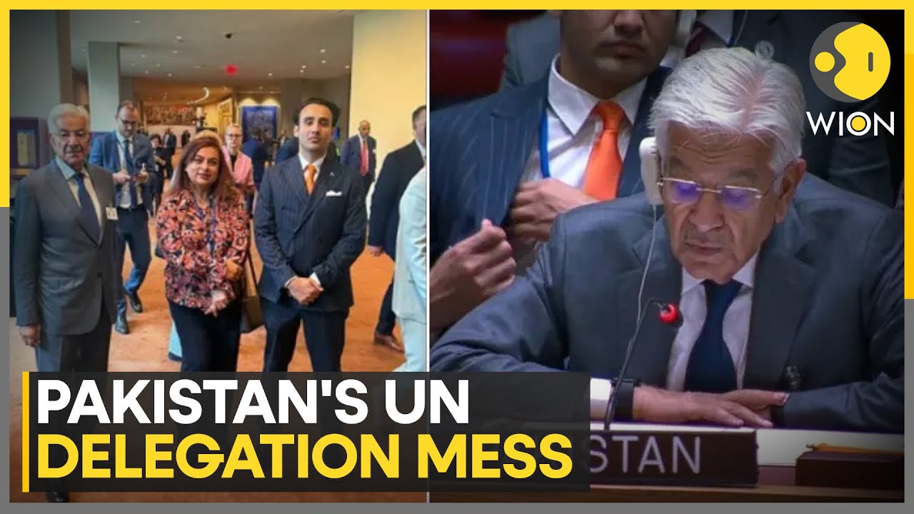 UNGA: Inclusion Of Shama Junejo In UN Delegation Sparks Controversy In Pakistan | WION