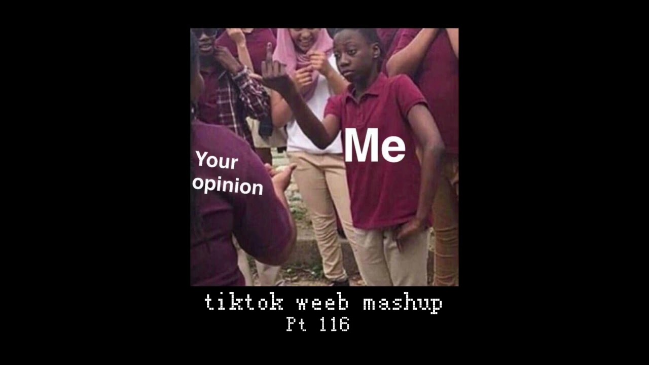 tiktok weeb mashup 116 (53 songs)