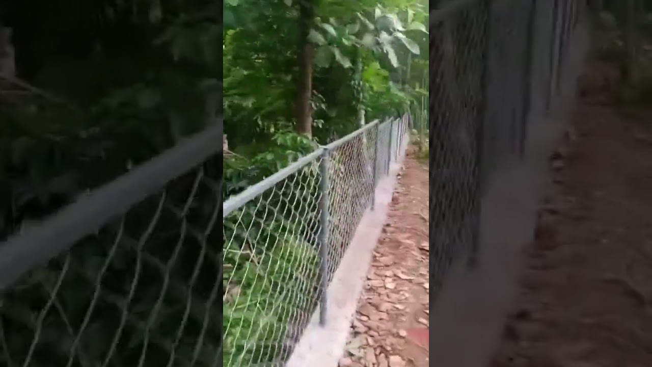 Budget Fence Using GI Pipes and Wire Mesh
